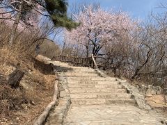 -香山公园
