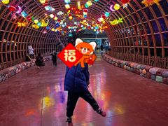 -郑州方特梦幻王国