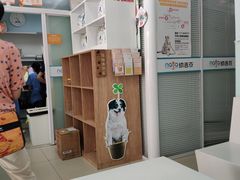 -纳吉亚猫专科动物诊疗中心(蒋宅口分院)