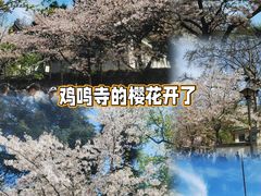 -鸡鸣寺