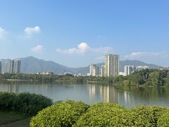 -飞来湖湿地公园