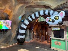 -杭州开元森泊度假乐园