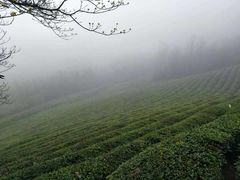 -敬亭山风景名胜区