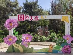 -太阳宫公园