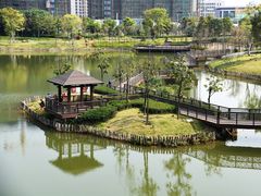 -王借岗森林公园