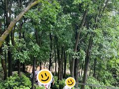 -火炉山森林公园