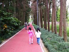 -上海长兴岛郊野公园