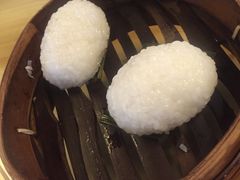 茨毛圆子-双塔老饭店
