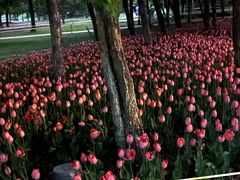 -长春公园(普阳街道)