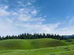 -新疆那拉提国家旅游度假区