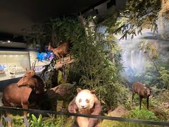 -四川大学博物馆