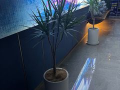 -古越堂影院式足道(九堡店)