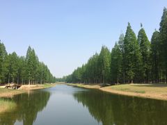 -黄海国家森林公园