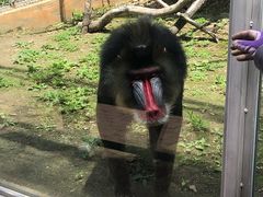 -哈尔滨北方森林动物园