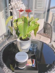 -处女座·MISS VIRGO·半永久纹眉野生眉