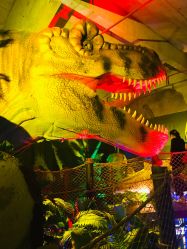 -恐龙探索乐园(磁器口店)