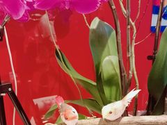 -新花城蟹粉馆(乌鲁木齐店)