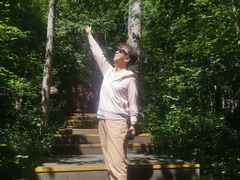 -五营红松林海景区