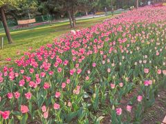 -长春公园(普阳街道)