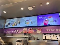 -TD66高山铁皮石斛养生茶饮