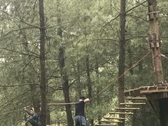 -梦幻奥陶纪景区