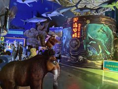 -烟台海昌鲸鲨海洋公园