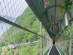 -仙岛湖旅游风景区