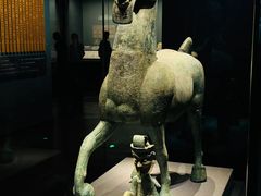 -广西壮族自治区博物馆