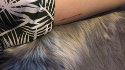 -飛凡TATTOO纹身•原创