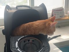 -宠瑞康动物医院