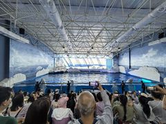 -秦皇岛乐岛海洋王国