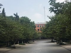 樱花大道-USTC1958东区·by UNILAB
