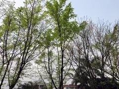 -侠成水上农庄(工业大道店)