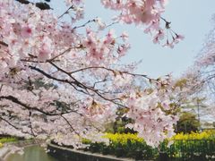 -醍醐寺