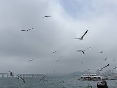 -星海广场