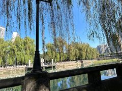 -温江公园
