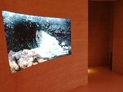 -舒小悦·舒养SPA·古法推拿(光环中心店)