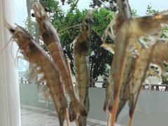 -东海怡品海鲜豆捞(舟宿夜江店)
