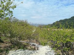 -广州市流溪河国家森林公园