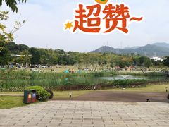-牛岗山公园
