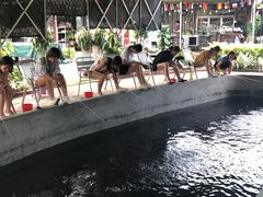 -大象营野Life营地·钓虾(坦尾店)