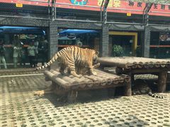 -西安秦岭野生动物园