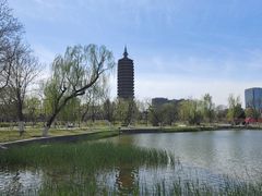 -西海子公园