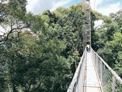 -乌鲁淡布隆国家公园
