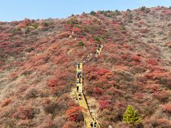 -水峪民俗村