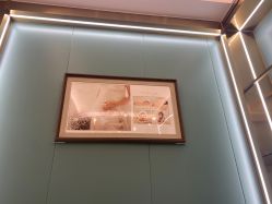 -宝贝家族国际影像馆(高新店)