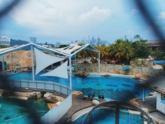 -新加坡水上探险乐园