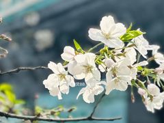 -上海南浦大桥长途旅游客运站