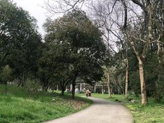 -杭州植物园