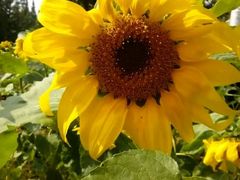 -艾溪湖湿地公园